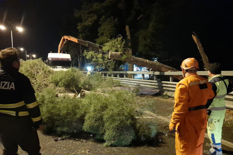 7c6f223fab355985ca758f65d6a9f127