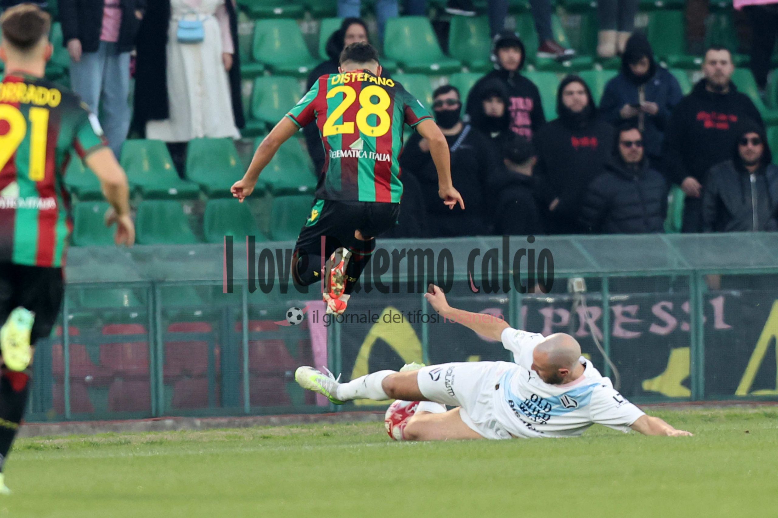 lucioni ternana palermo