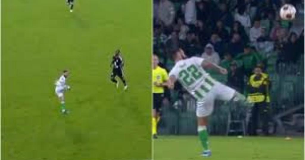 WhatsApp Image 2023-11-10 at 16.28.13