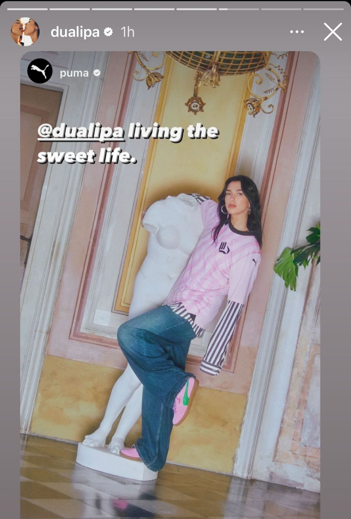 WhatsApp Image 2023-11-14 at 22.26.13