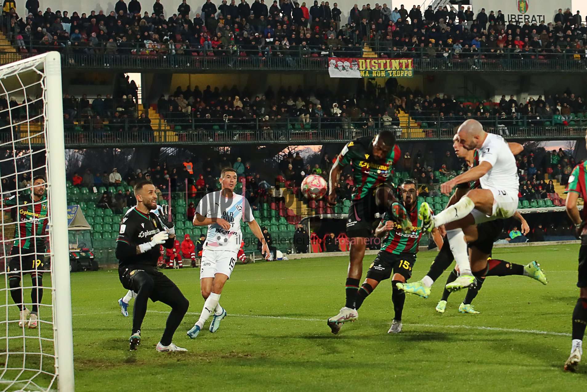 ternana palermo lucioni gol