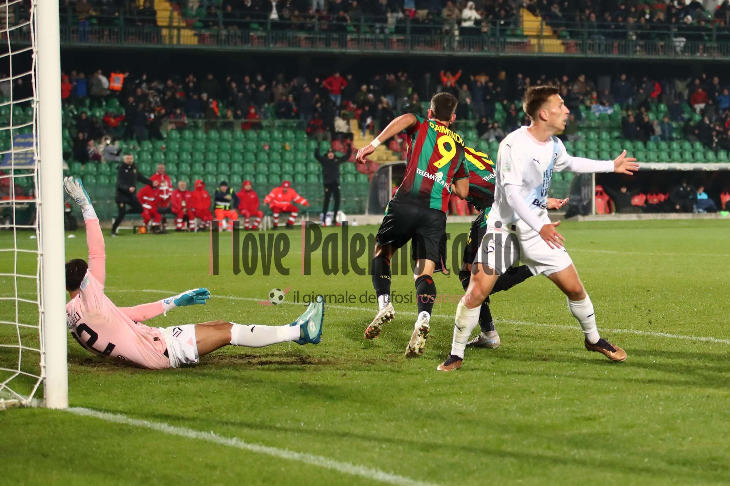 ternana palermo lund pigliacelli