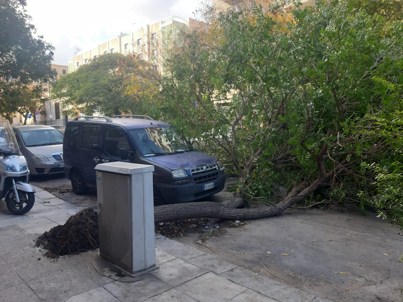 daccef80-2082-43dc-970a-13d6ec2ca01b