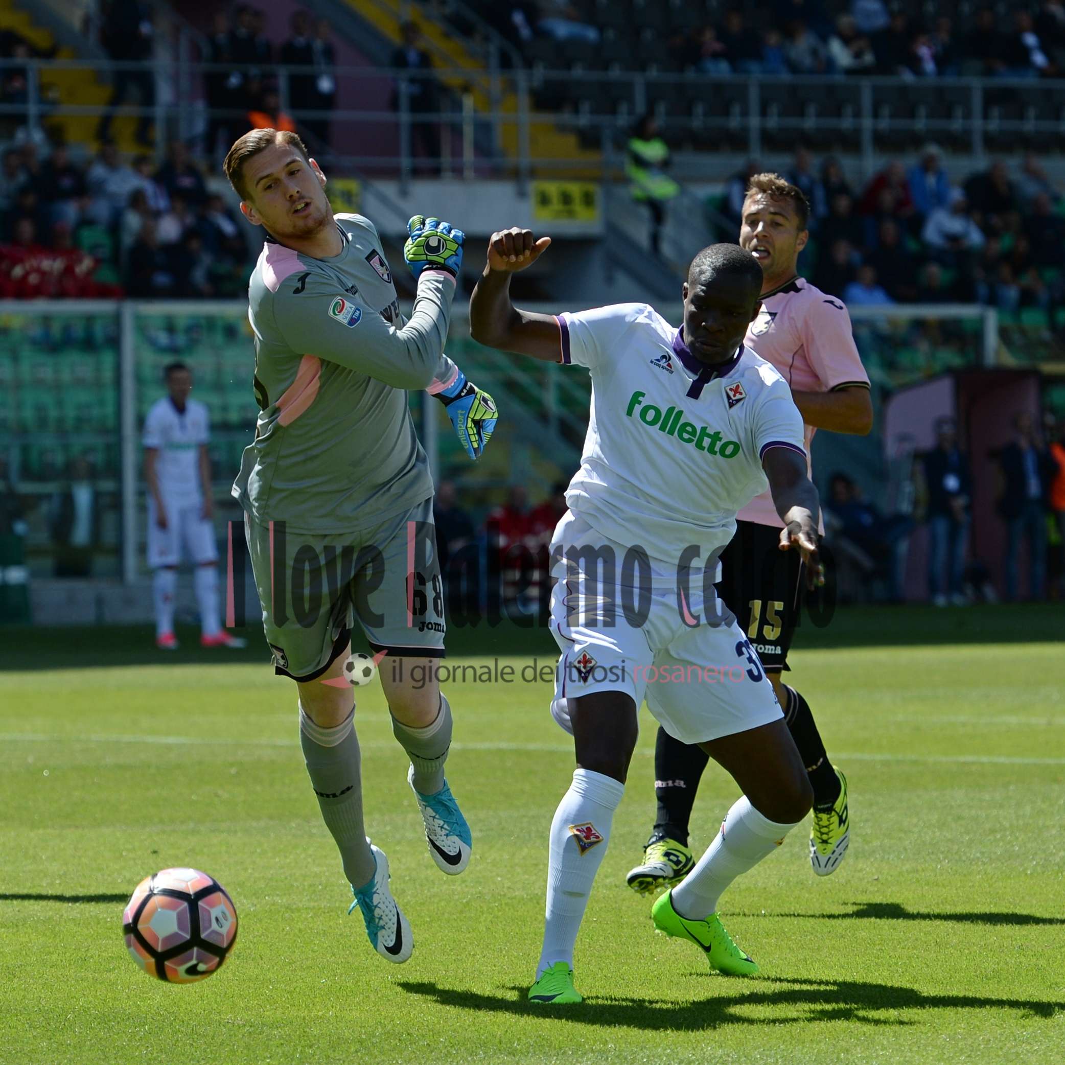 palermo-fiorentina-ilovepalermocalcio-2-1 (1)