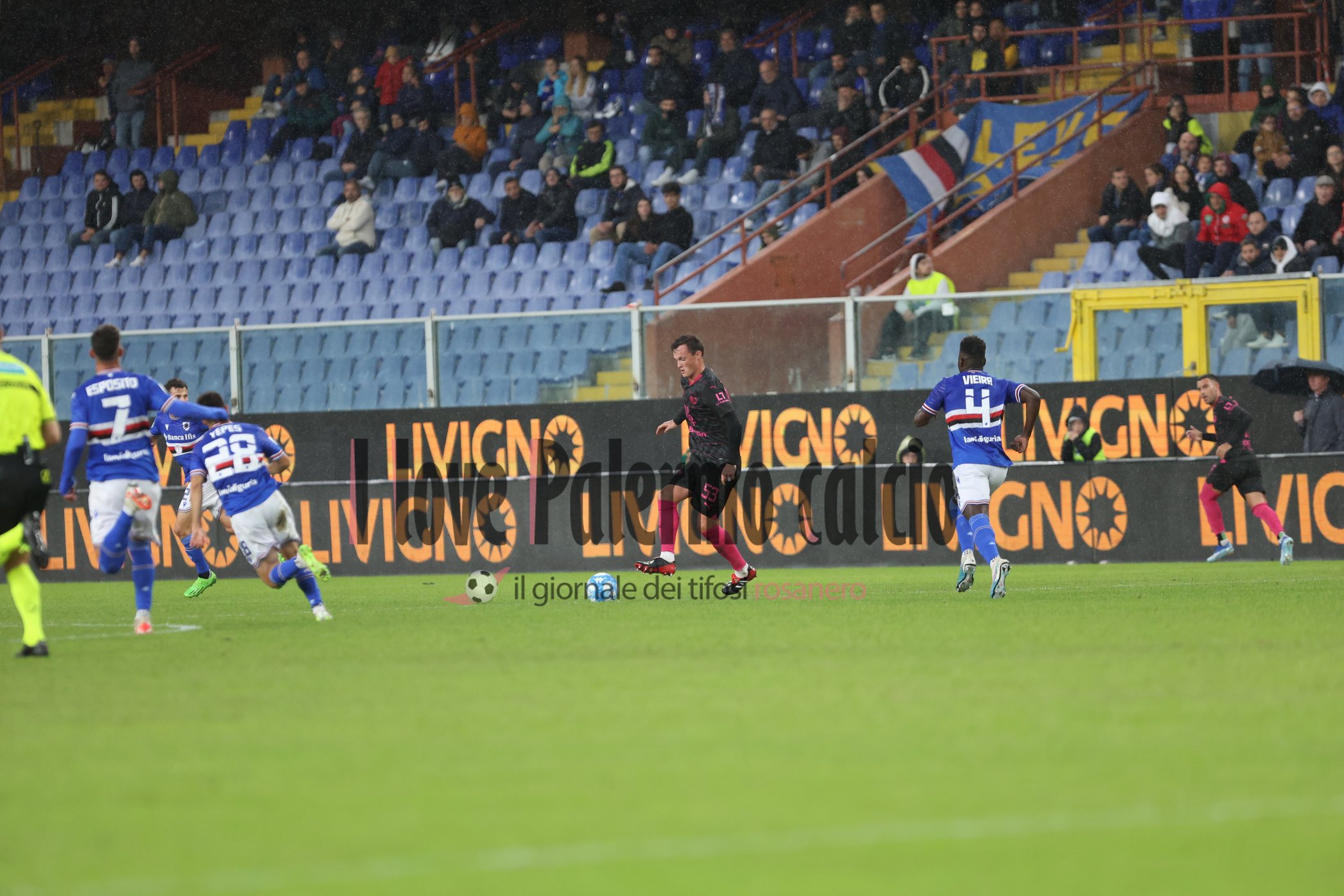 sampdoria palermo 1-0 primo tempo (25) henderson