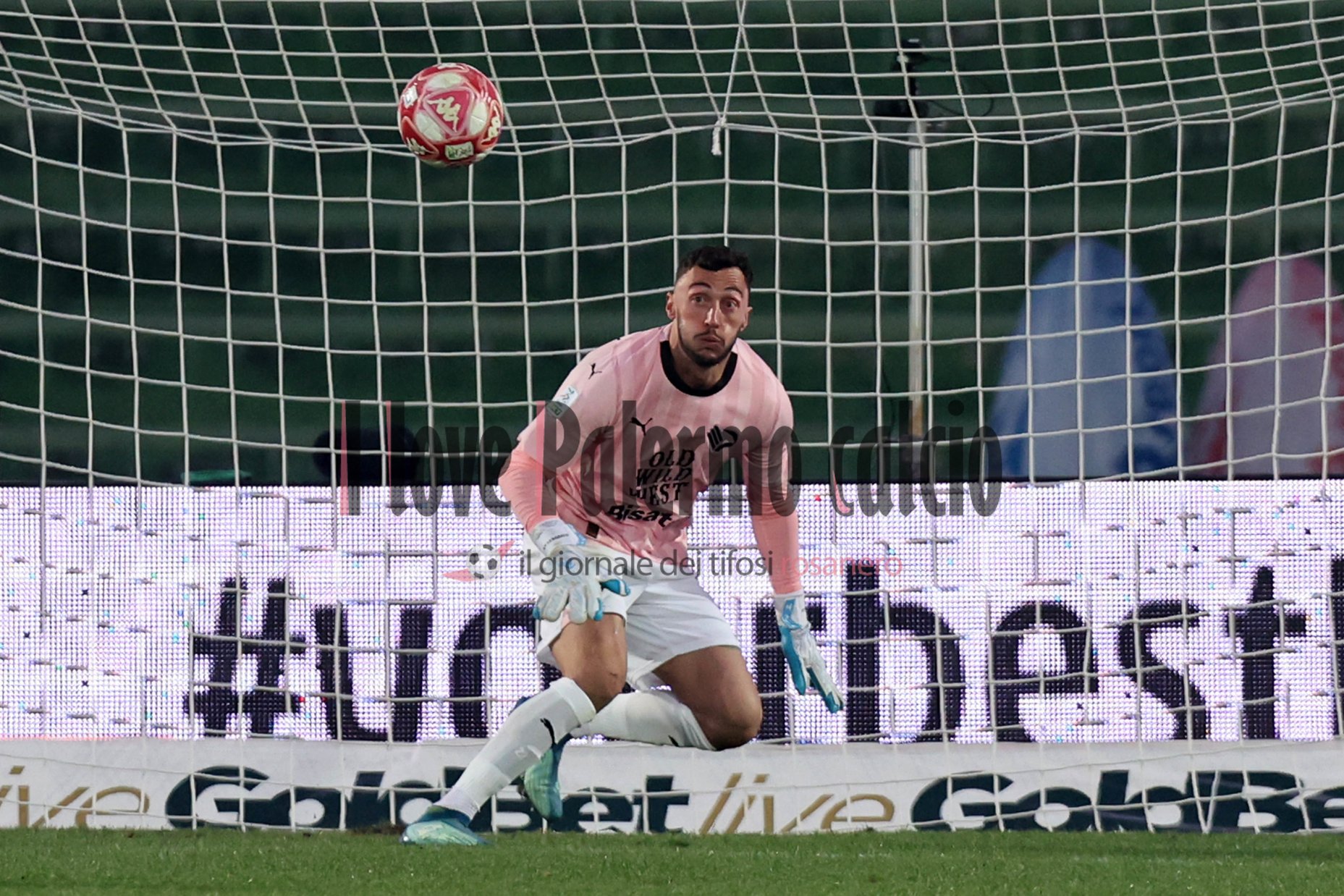 ternana palermo 1-1 (16) Pigliacelli