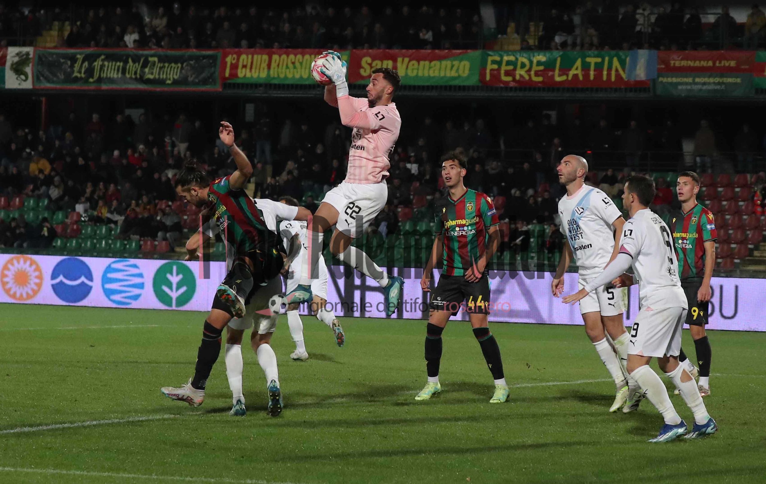 ternana palermo 1-1 (52) Pigliacelli Brunori Lucioni Lucchesi
