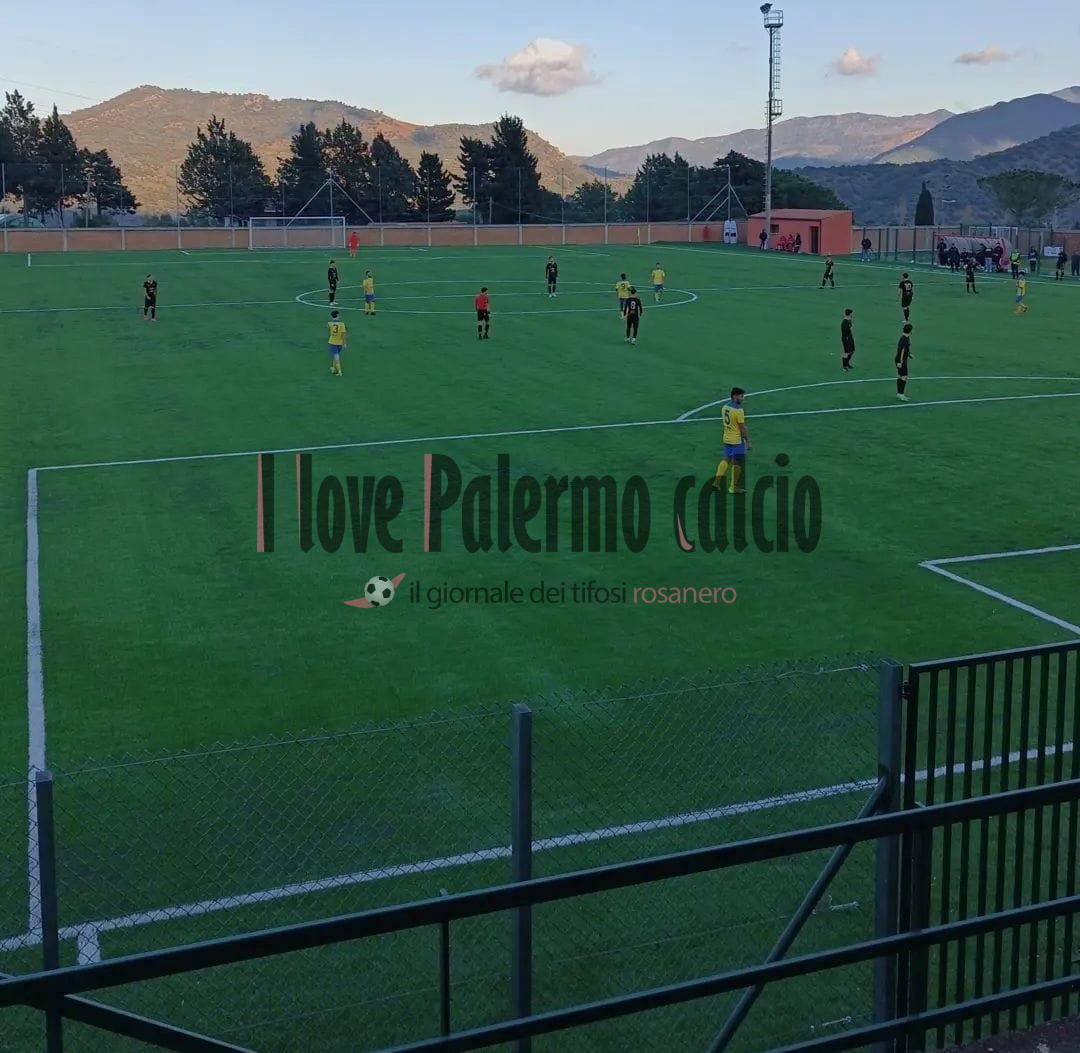 20a808c4-0695-4518-8ca8-90c96647f7cd