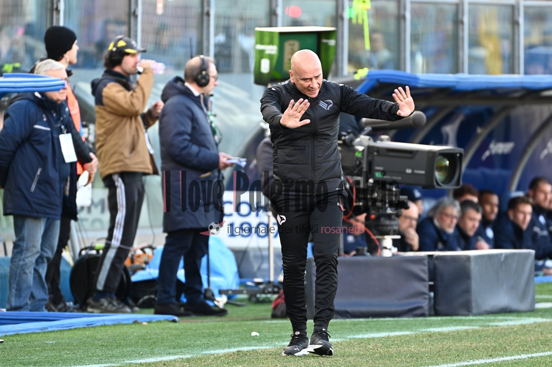 como palermo logo 3-3 (4) corini