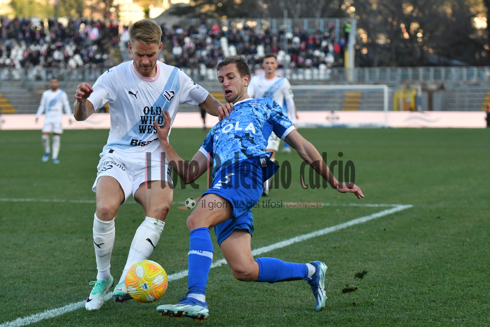 como palermo logo 3-3 (41) graves sala