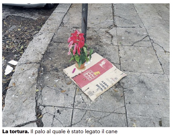 2380556d-0141-4f7b-abd9-f52b3bdec8aa