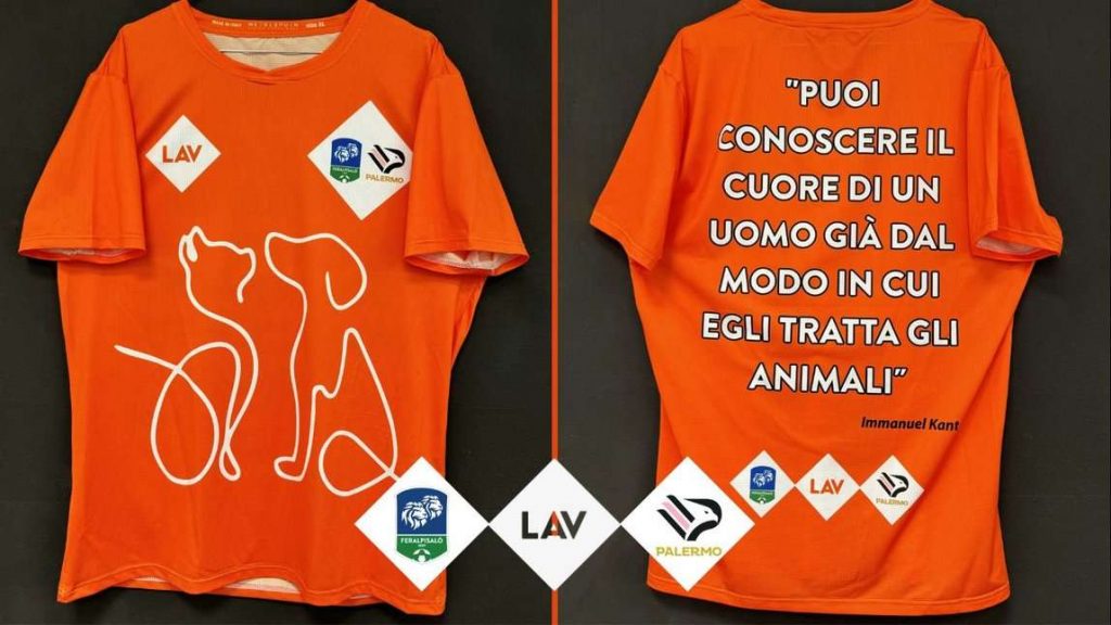 59a3dd1e-835e-4051-928f-e26371dc5a15 (1)