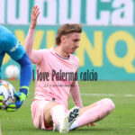 Giornale di Sicilia: “Le Douaron-Johnsen, il ballottaggio che accende l’attacco del Palermo”