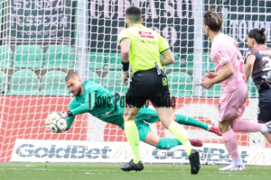 Palermo Sudtirol 3-0 (29)