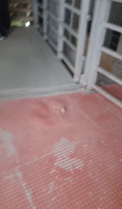 Screenshot 2026-02-07 164742