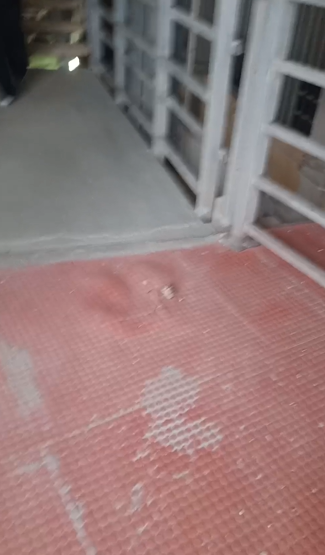 Screenshot 2026-02-07 164742