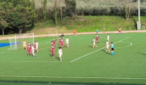 Screenshot 2026-02-28 183005