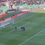 Palermo-Südtirol 1-0: segna Pohjanpalo, invasione di campo al Barbera