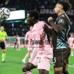 palermo empoli 3-2 (159)