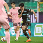 palermo empoli 3-2 (57)