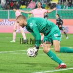 palermo empoli 3-2 (80)