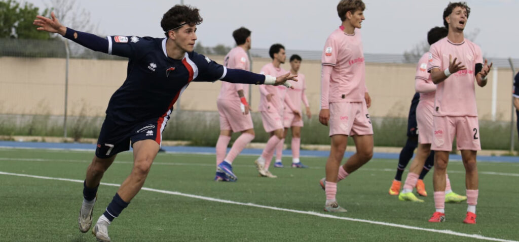 7014-p3TcL426H482pB6C4uHM