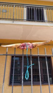 58980cd1-edf1-409d-9873-6454eb620116