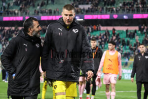 Palermo Avellino 2-0 (100)