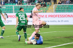 Palermo Avellino 2-0 (15)