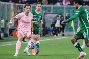 Palermo Avellino 2-0 (16)
