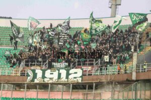 Palermo Avellino 2-0 (3)