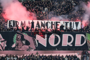 Palermo Avellino 2-0 (43)