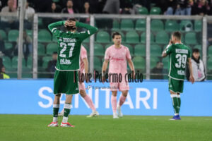 Palermo Avellino 2-0 (44)