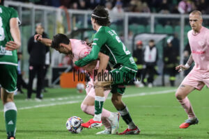 Palermo Avellino 2-0 (49)