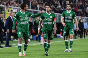 Palermo Avellino 2-0 (52)