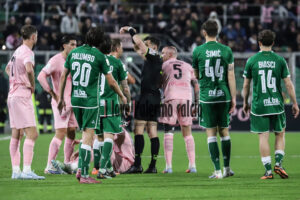 Palermo Avellino 2-0 (54)