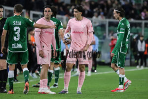 Palermo Avellino 2-0 (55)