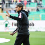 Giornale di Sicilia: “Inzaghi-Stroppa, sfida tra maestri della Serie B: il Palermo cerca il salto definitivo”