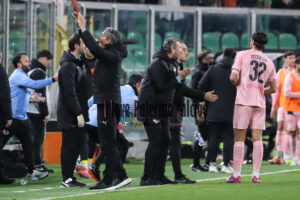 Palermo Avellino 2-0 (81)