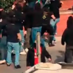 Agguato prima di Cesena-Catanzaro: 34 Daspo agli ultras calabresi