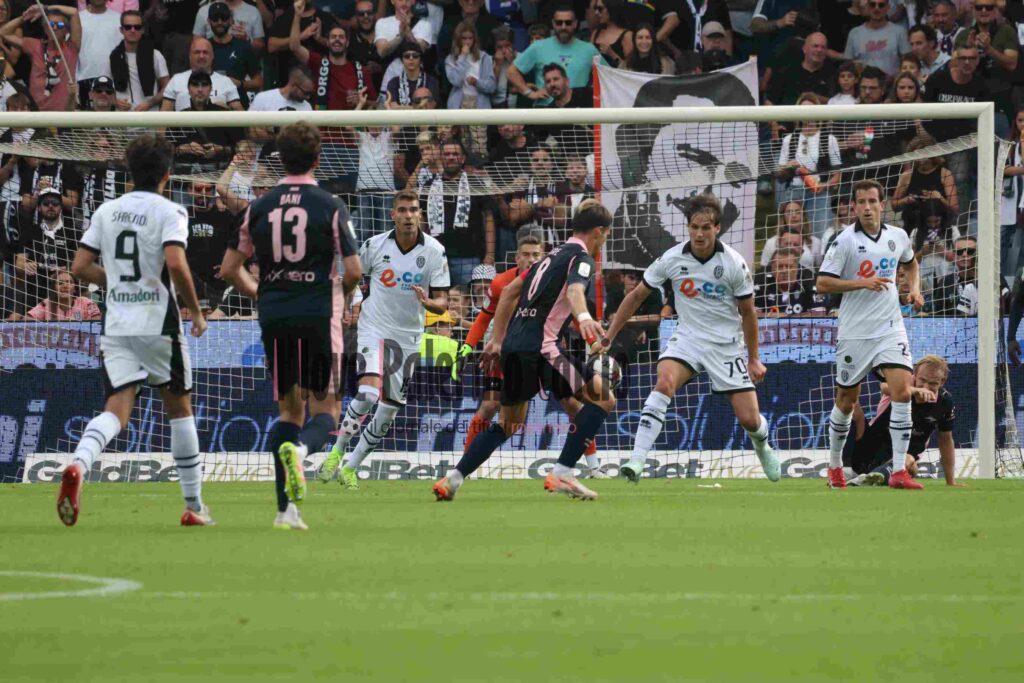 cesena palermo1-0 primo tempo (12)