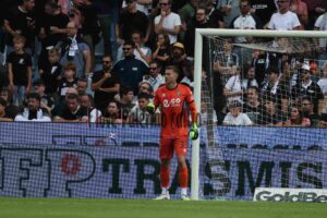 cesena palermo1-0 primo tempo (71)