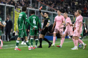 palermo avellino (14)