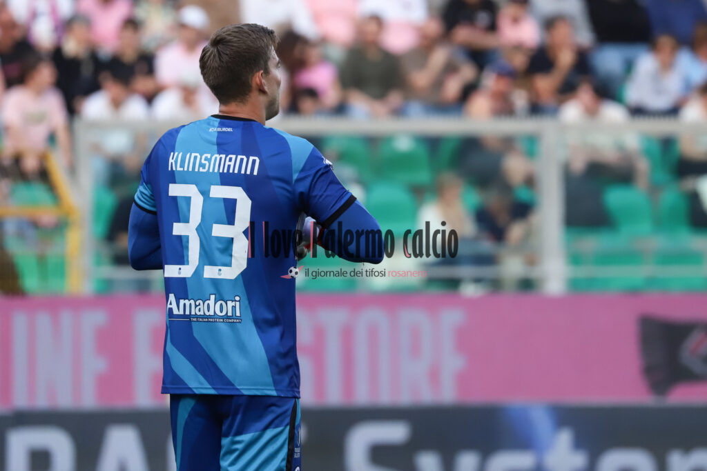 palermo cesena 2-0 (100)