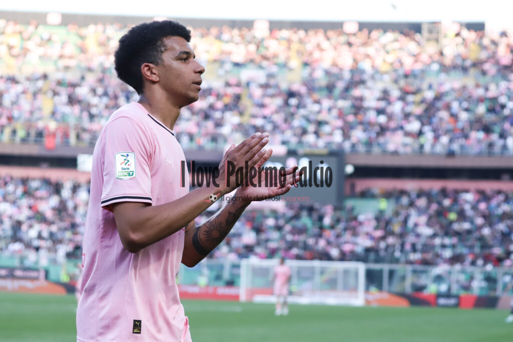 palermo cesena 2-0 (101)