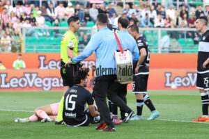 palermo cesena 2-0 (109)