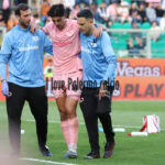 palermo cesena 2-0 (110) ranocchia