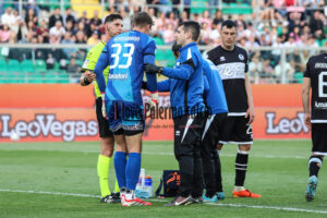 palermo cesena 2-0 (111)