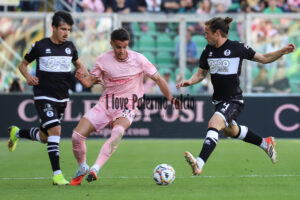 palermo cesena 2-0 (24)