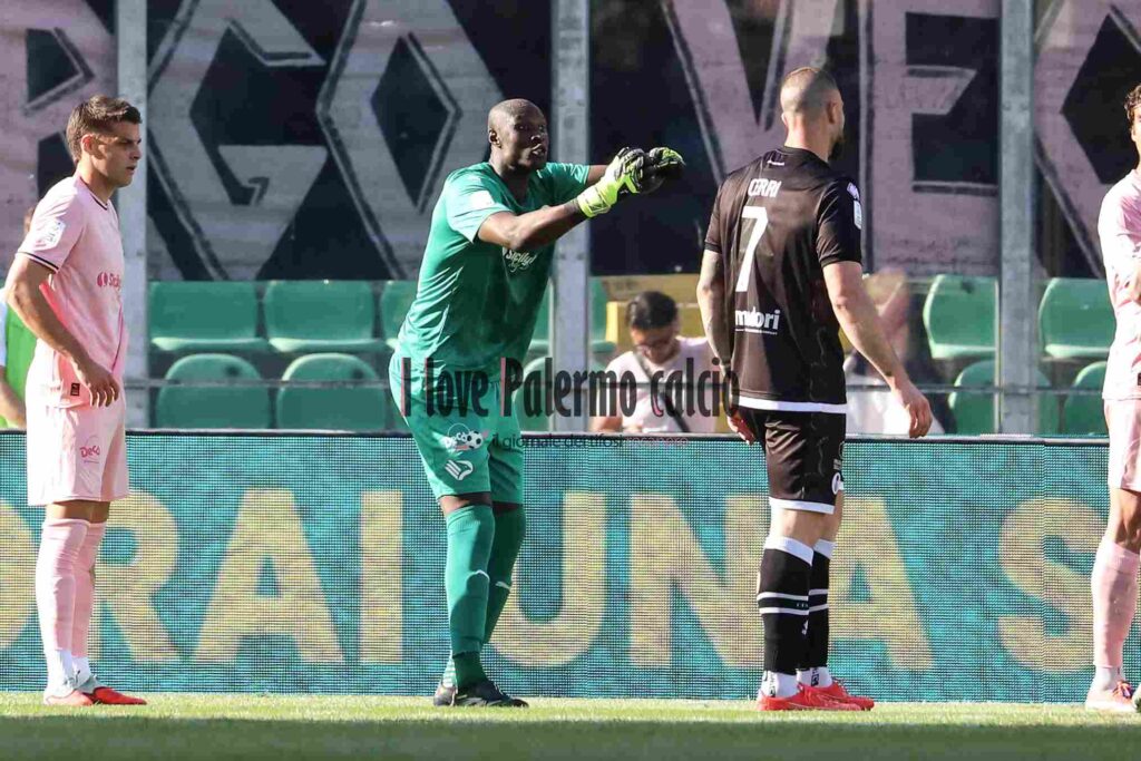 palermo cesena 2-0 (52)